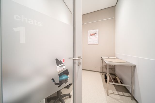 Consultation room for cats