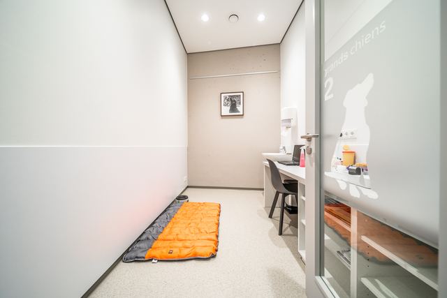 Consultation room for large dogs