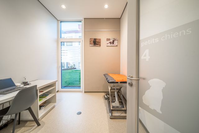 Consultation room for small dogs