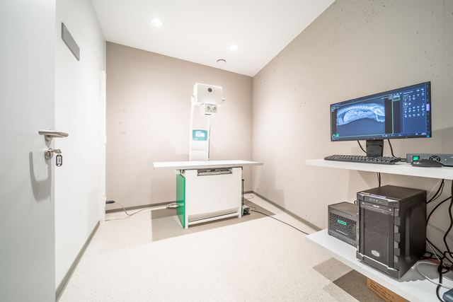 Digital radiography