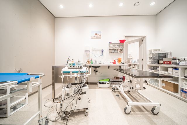 Treatment and dental care room