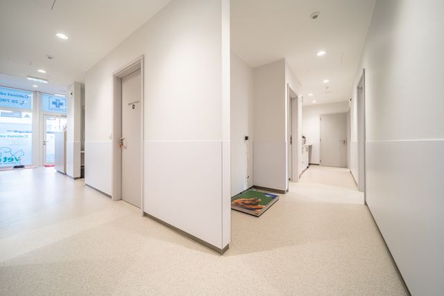 Corridor to the treatment rooms